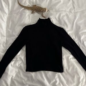 Aritzia, Wilfred cropped turtle neck!